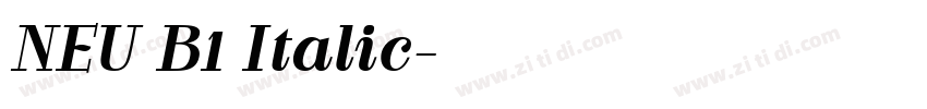 NEU B1 Italic字体转换 NEU B1 Italic字体转换